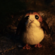 Illustration for article titled Disney+ finally has a porg avatar, happy May The Fourth or whatever